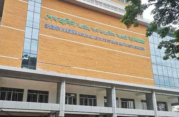 শ্বাসনালি পোড়া হালিমা লাইফ সাপোর্টে, ৩জনকে ছাড়পত্র